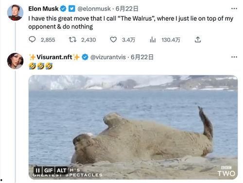 妈妈吃瓜推文免费阅读,免费阅读盛宴开启! 第3张 妈妈吃瓜推文免费阅读,免费阅读盛宴开启! 第3张